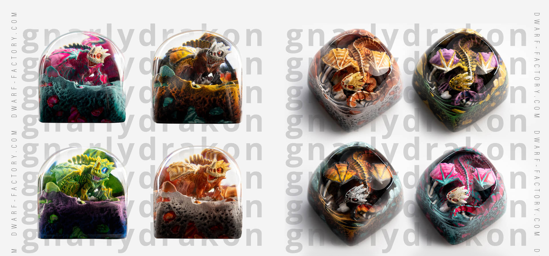 素晴らしい品質 Dwarf Factory Albert XI Bundle バンドル PC周辺機器